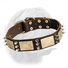 Walking Dog Collar made of Leather for Dogue de Bordeaux