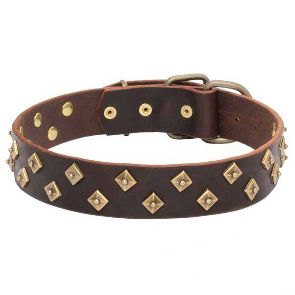 Leather dog collar for safe walking