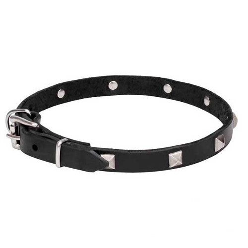 Charming leather dog collar
