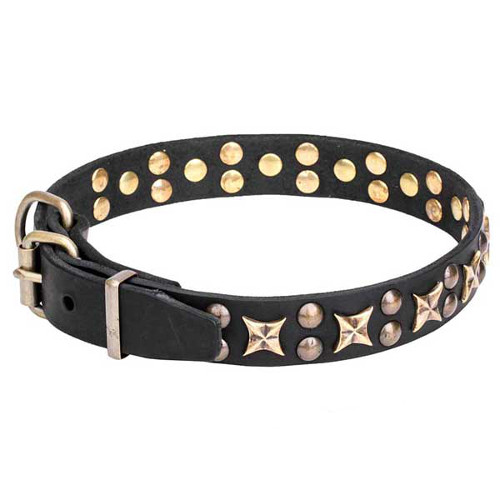 Dogue de Bordeaux genuine leather collar decorated with old bronze studs
