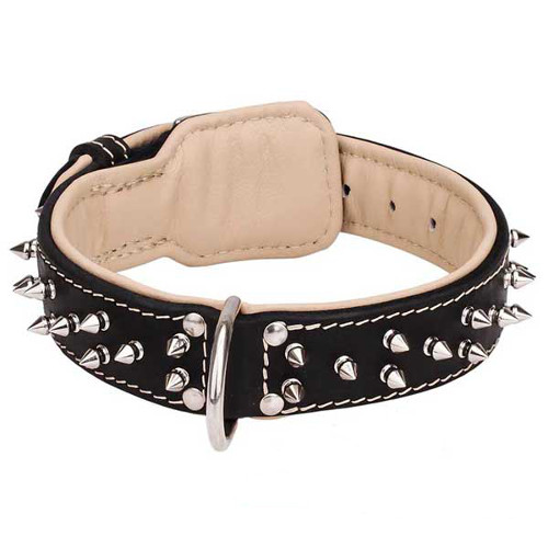 Fantastic leather dog collar