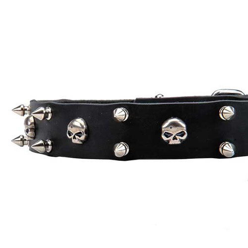 Reliably set spikes and skulls on dog collar