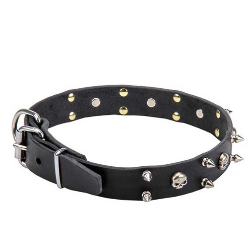 Leather dog collar of outstanding design