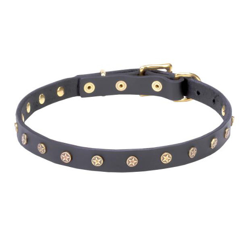Remarkable pure leather dog collar with riveted decorations
