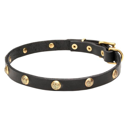 Leather dog collar with shiny studs