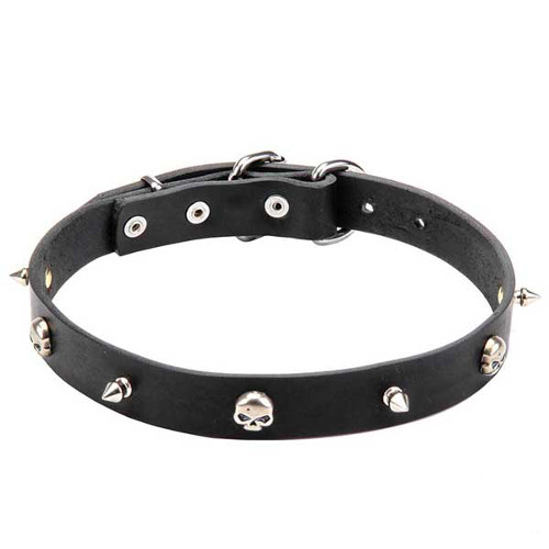 Leather dog collar with skulls and spikes