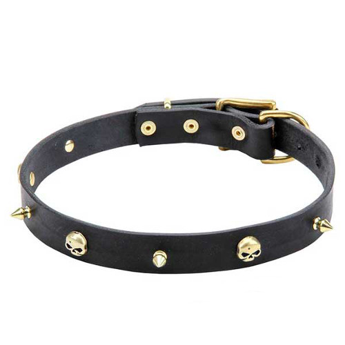 Leather Dogue de Bordeaux collar with skulls and spikes
