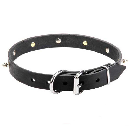 Easy adjustable leather dog collar