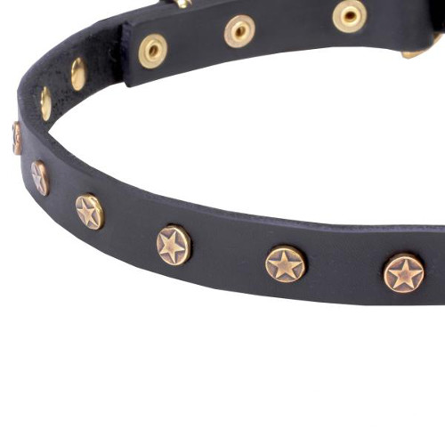 Securely set studs on genuine leather dog collar