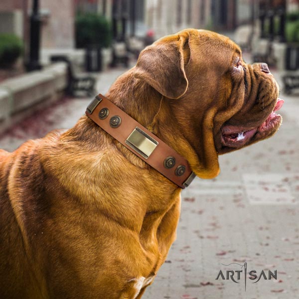 Dogue de Bordeaux trendy natural genuine leather collar for daily use
