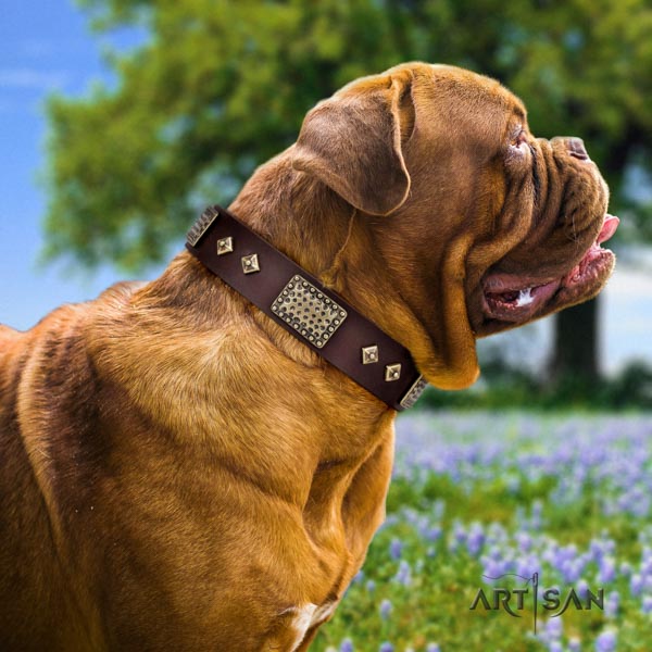 Dogue de Bordeaux fashionable natural genuine leather collar for everyday walking