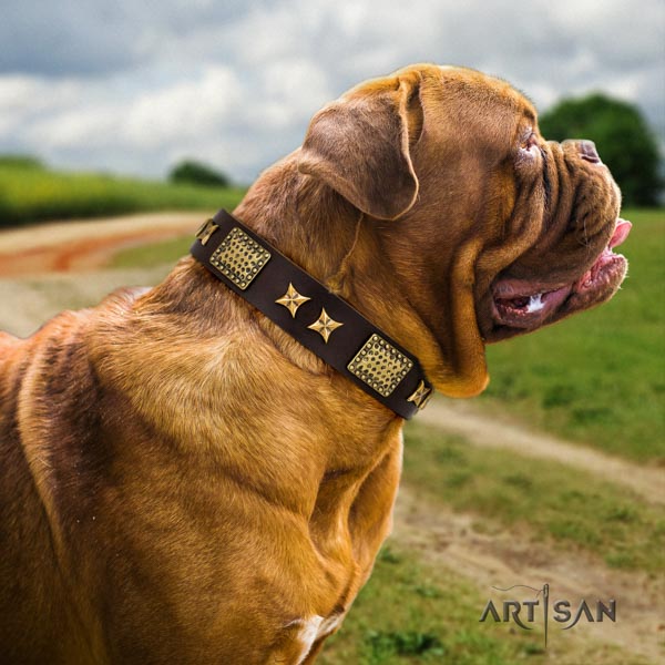 Dogue de Bordeaux inimitable natural genuine leather collar for basic training