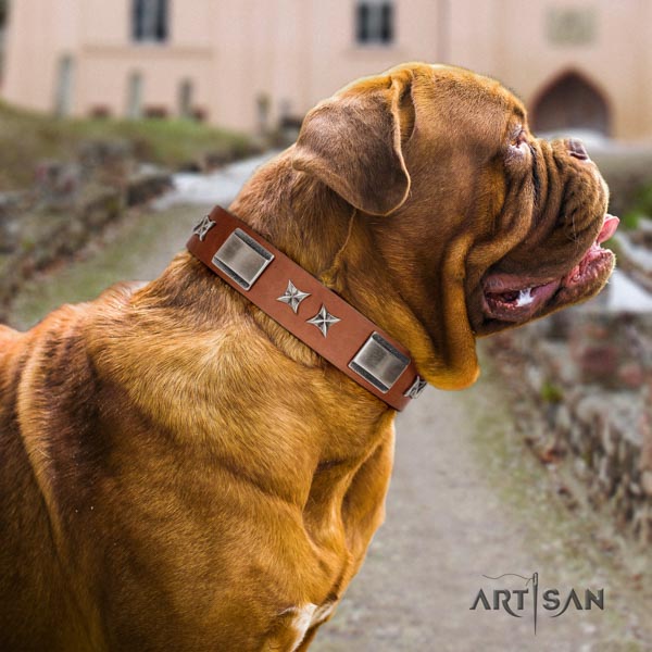 Dogue de Bordeaux impressive full grain natural leather collar for comfortable wearing
