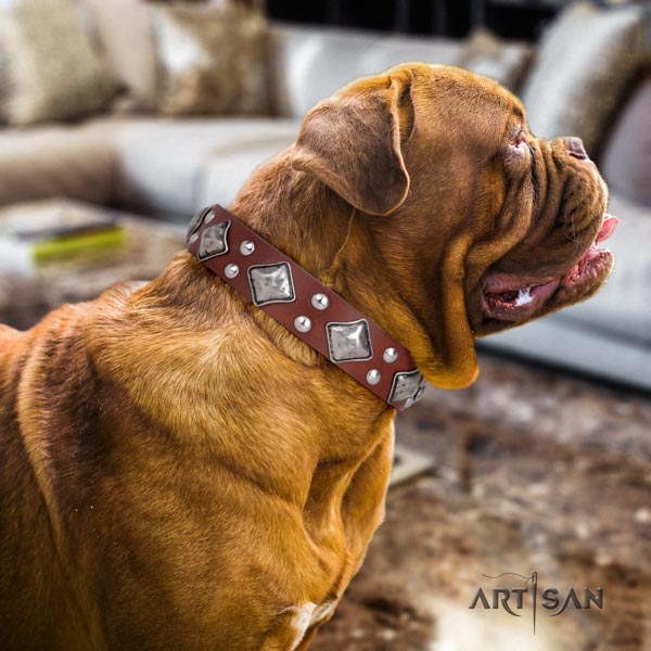 Dogue de Bordeaux extraordinary genuine leather collar for comfy wearing