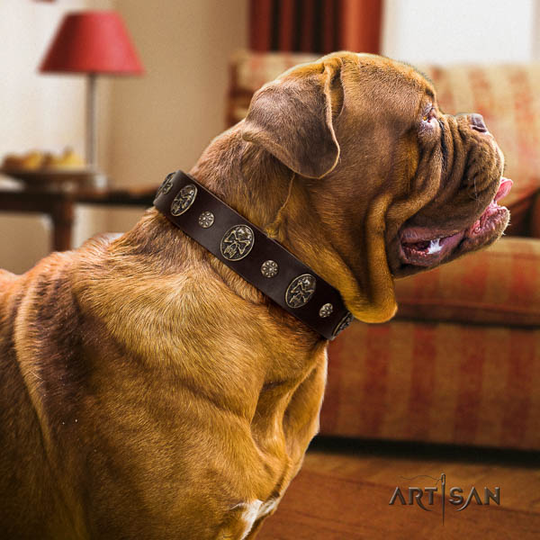 Dogue de Bordeaux basic training dog collar of designer leather