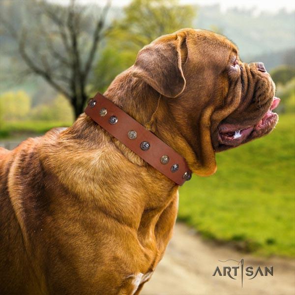 Dogue de Bordeaux stunning full grain genuine leather collar for handy use