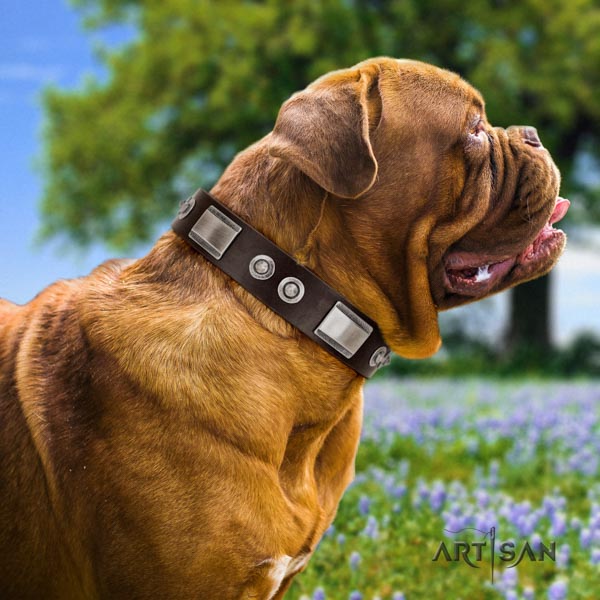 Dogue de Bordeaux inimitable leather collar for comfy wearing
