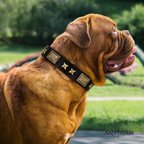 Dogue de Bordeaux amazing full grain natural leather collar for comfy wearing
