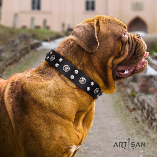 Dogue de Bordeaux exquisite genuine leather collar for comfy wearing