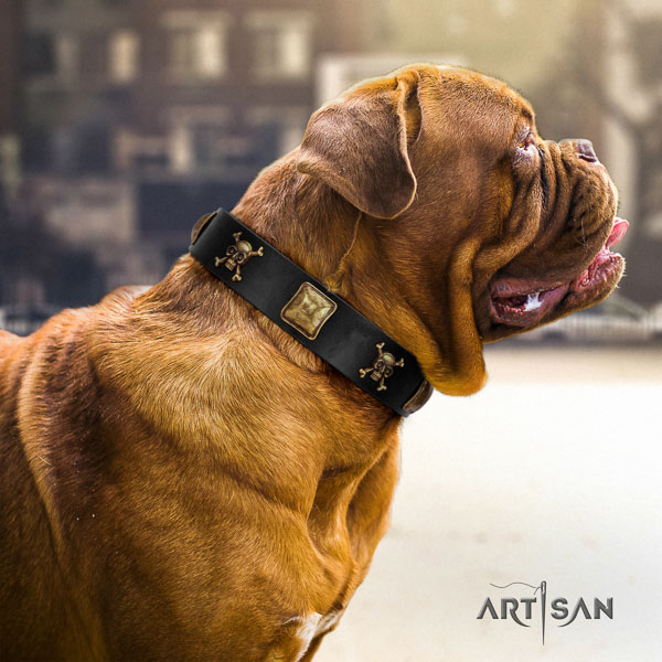 Dogue de Bordeaux daily use dog collar of soft natural leather