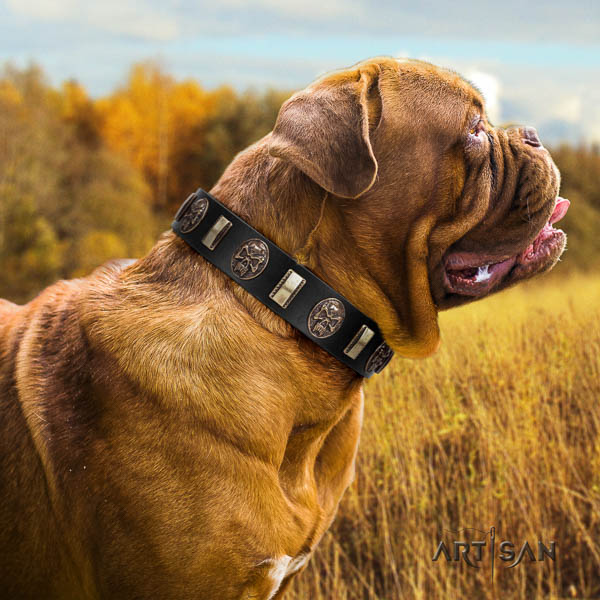 Dogue de Bordeaux basic training dog collar of awesome quality leather