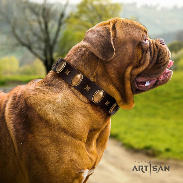 Dogue de Bordeaux basic training dog collar of fashionable genuine leather