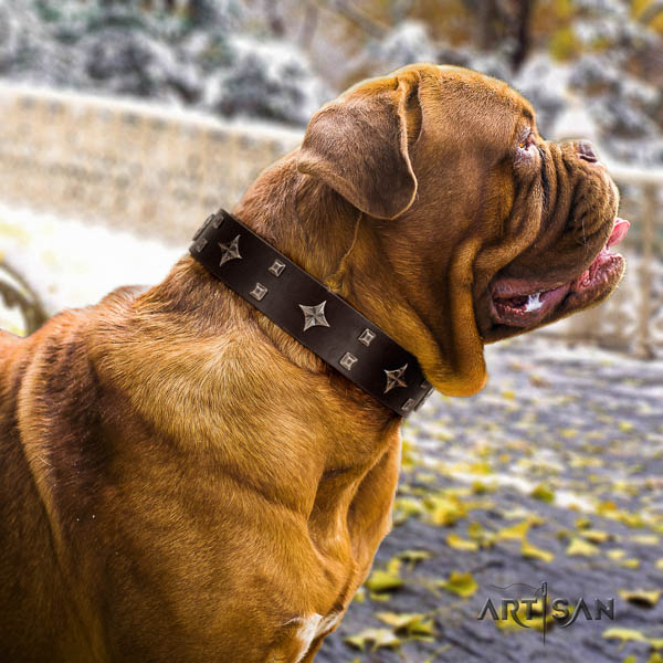 Dogue de Bordeaux daily use dog collar of soft leather
