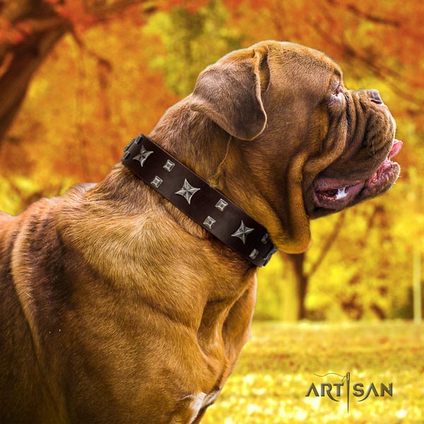 Dogue de Bordeaux everyday use dog collar of trendy genuine leather