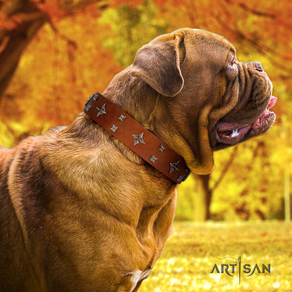 Dogue de Bordeaux basic training dog collar of trendy natural leather