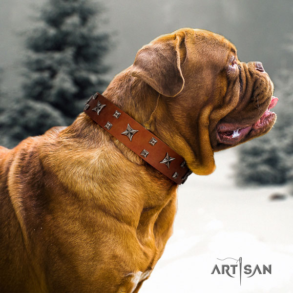 Dogue de Bordeaux stylish walking dog collar of top notch quality natural leather