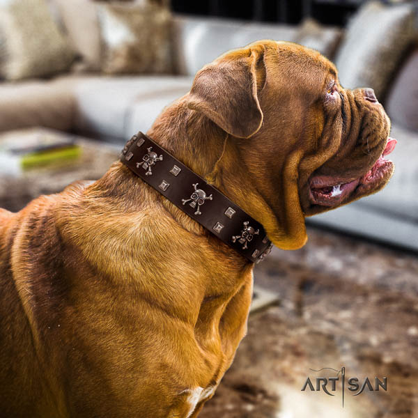 Dogue de Bordeaux handy use dog collar of fashionable genuine leather