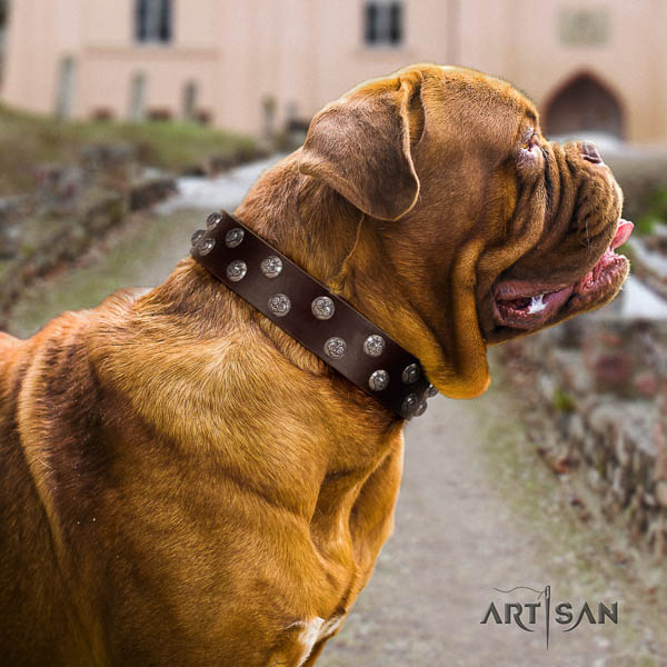 Dogue de Bordeaux dog collar of extraordinary quality natural leather for fancy walking