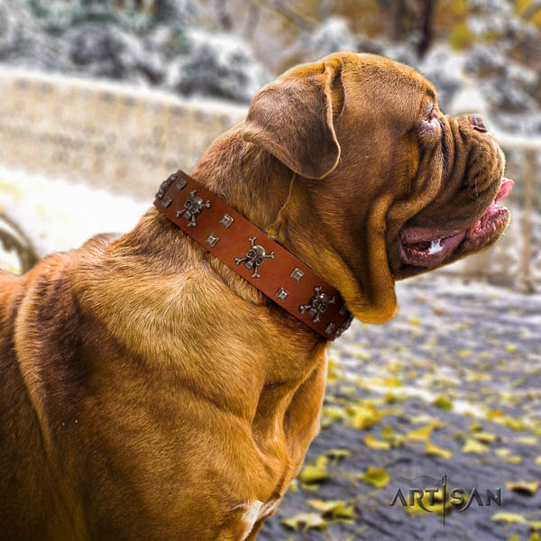 Dogue de Bordeaux handy use dog collar of exquisite quality natural leather