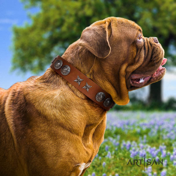 Dogue de Bordeaux inimitable full grain leather dog collar