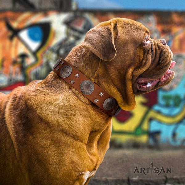Dogue de Bordeaux best quality full grain genuine leather dog collar