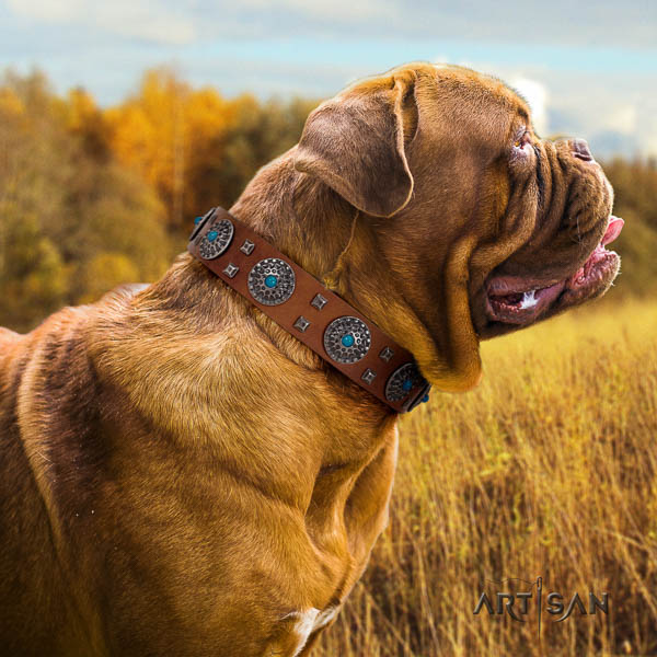Dogue de Bordeaux convenient genuine leather dog collar