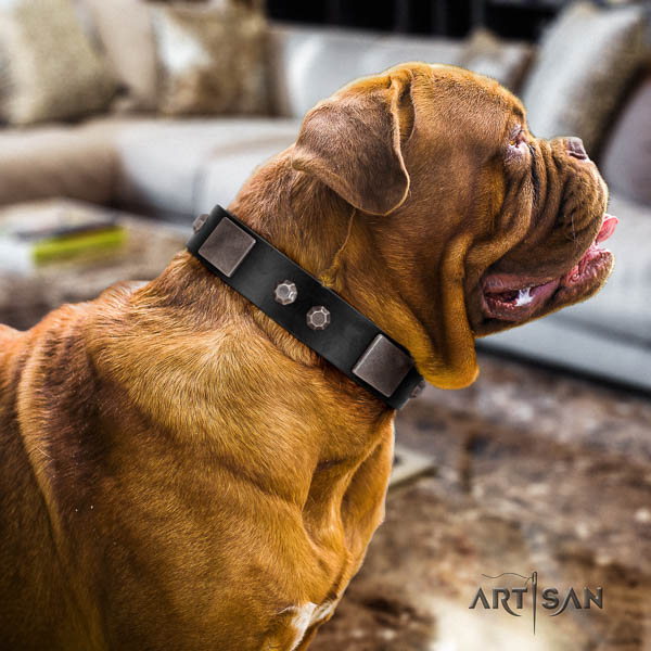 Dogue de Bordeaux exquisite full grain natural leather dog collar
