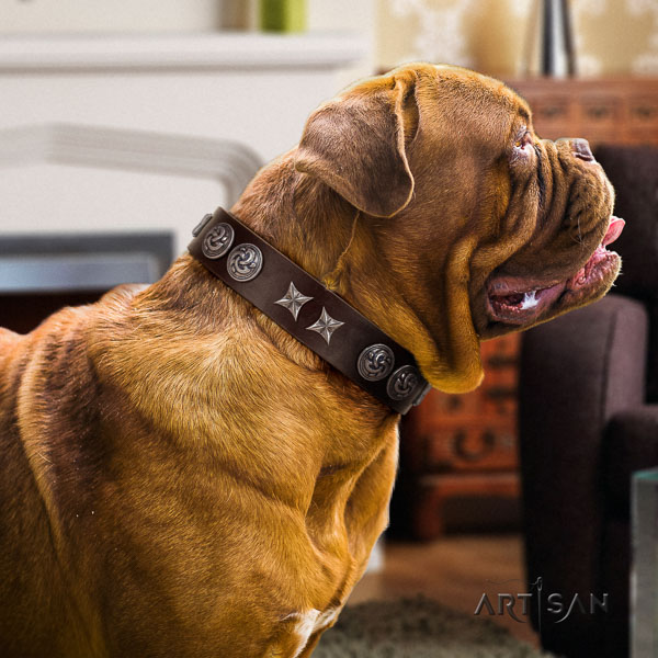 Dogue de Bordeaux exquisite genuine leather dog collar