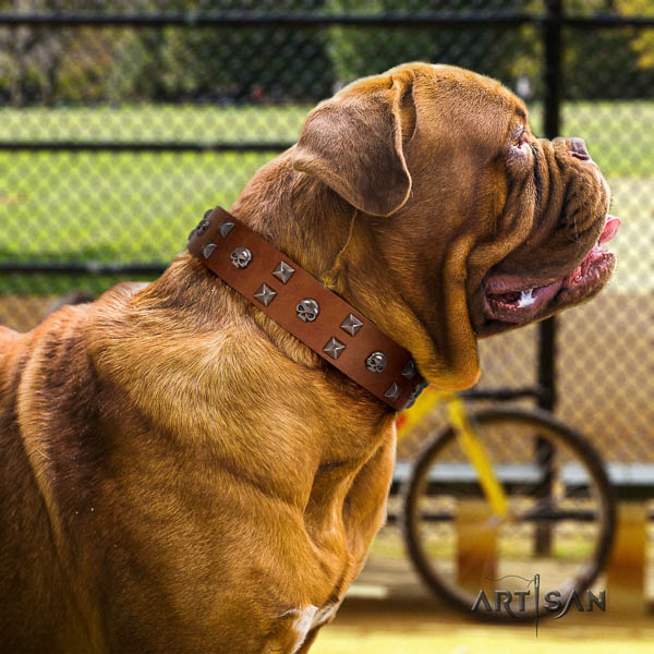 Dogue de Bordeaux comfortable natural genuine leather dog collar