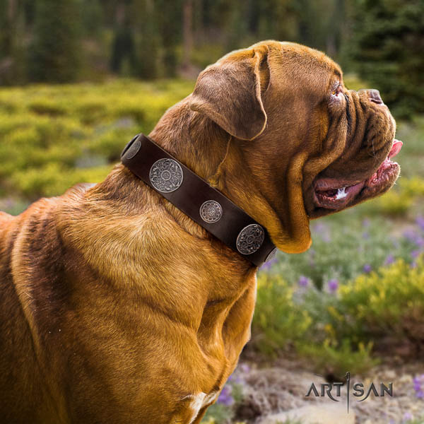 Dogue de Bordeaux daily walking dog collar of extraordinary quality genuine leather