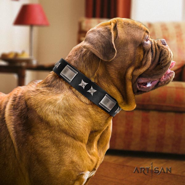 Dogue de Bordeaux unusual genuine leather collar for daily use