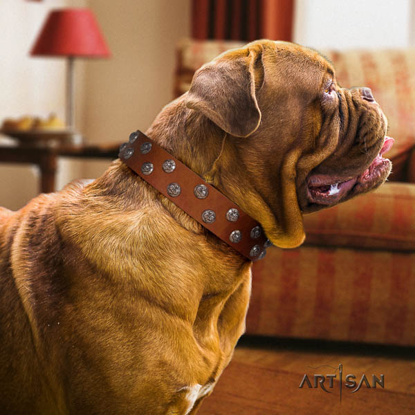 Dogue de Bordeaux dog collar of significant quality leather for walking
