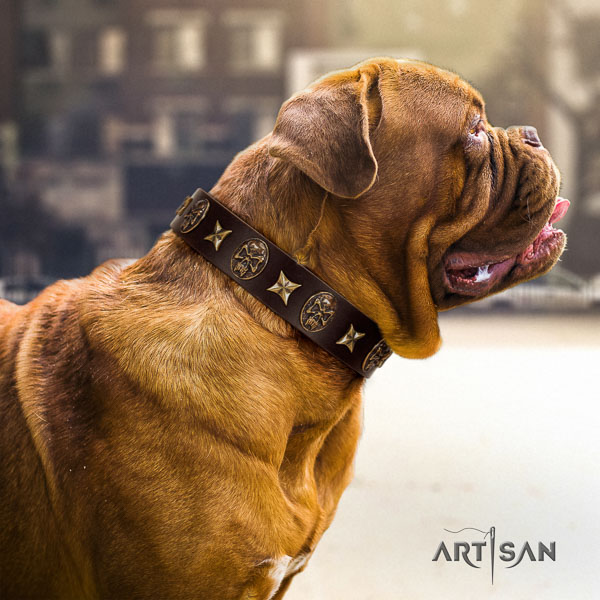 Dogue de Bordeaux walking dog collar of incredible quality natural leather