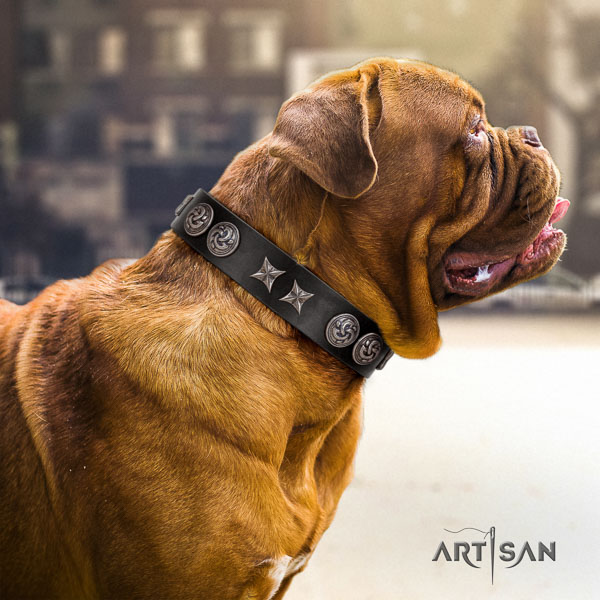 Dogue de Bordeaux trendy leather dog collar