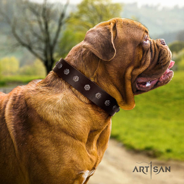 Dogue de Bordeaux handcrafted leather dog collar