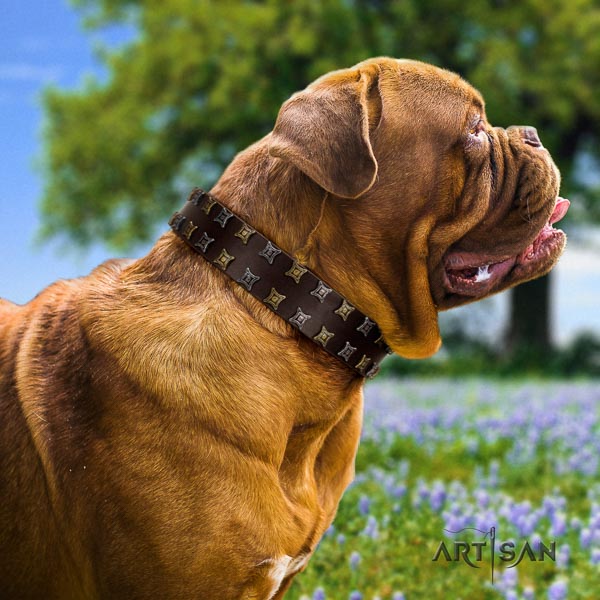 Dogue de Bordeaux everyday use dog collar of soft natural leather