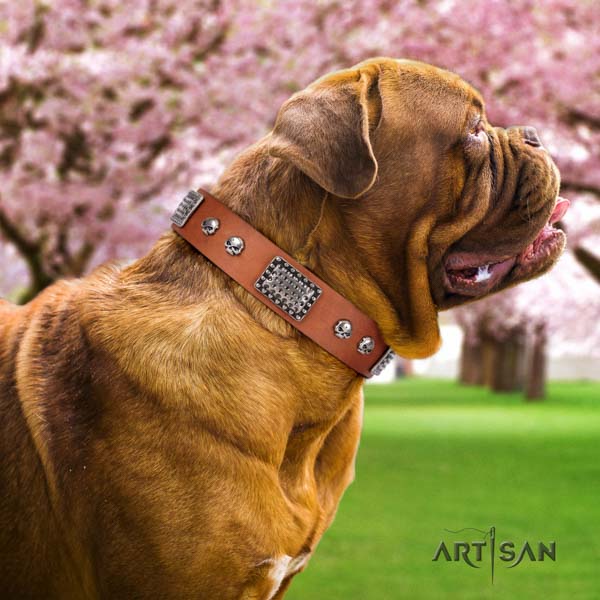 Dogue de Bordeaux designer genuine leather collar for comfy wearing