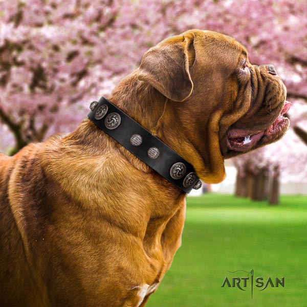 Dogue de Bordeaux dog collar of awesome quality natural leather for handy use
