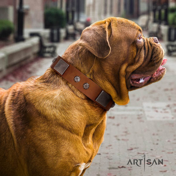 Dogue de Bordeaux incredible natural genuine leather dog collar