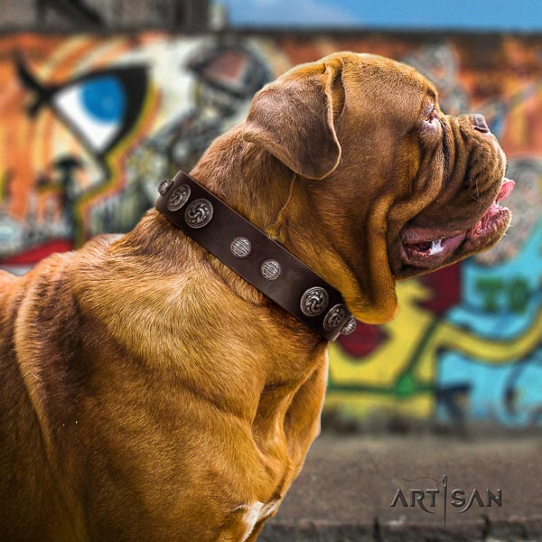 Dogue de Bordeaux dog collar of significant quality leather for fancy walking